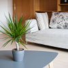 WohnSchlafzimmer-5