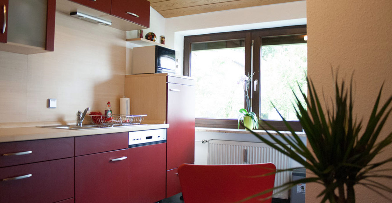 Kuechenansicht-Ferienwohnung-in-Roth